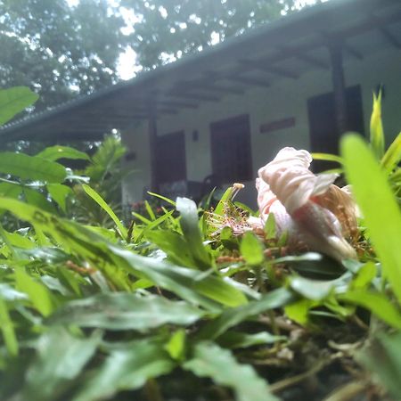 Sigiriya Hillside View Villa Exterior foto